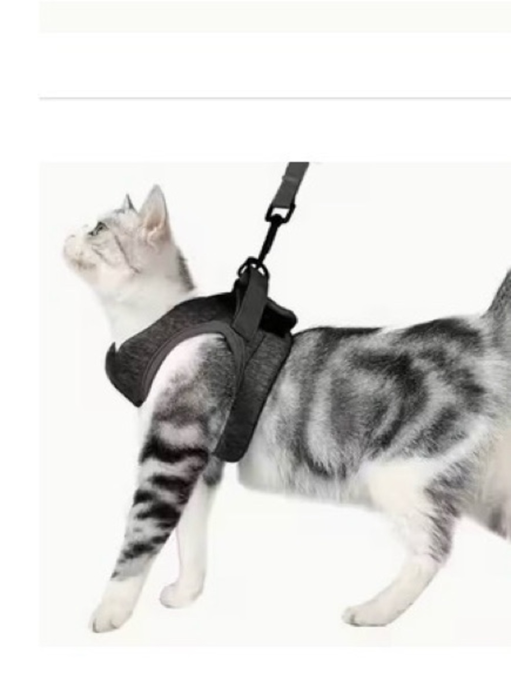 Gray Padded Dog Harness with Quick-Release Buckle